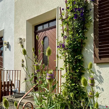 Am Weinaupark تسيتاو