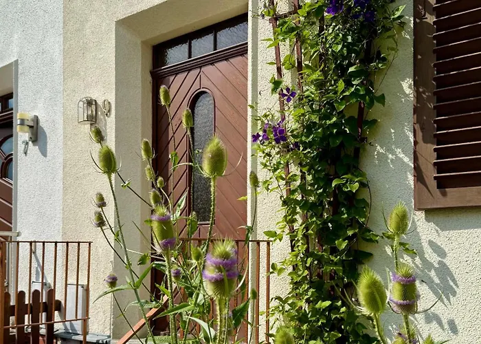 Am Weinaupark 치타우